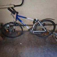 Fahrrad Rahmen Herzogtum Lauenburg - Mölln Vorschau