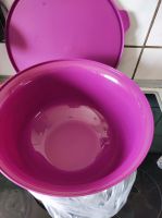 Aloha Schüssel 7,5l Tupperware Nordrhein-Westfalen - Siegburg Vorschau