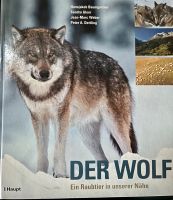 Der Wolf. Ein Raubtier in unserer Nähe - Baumgarten u.a. Niedersachsen - Liebenburg Vorschau
