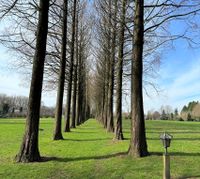 Einmalige Gelegenheit! 2,3 ha bebaubare Grünfläche und Hofstelle mit Pferdestall zu verkaufen! Niedersachsen - Emstek Vorschau