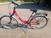 28" Alu Damenfahrrad 4 Gang Nexus Nabenschaltung Nabendynamo Brandenburg - Templin Vorschau