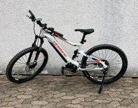 Neuw E Bike Haibike 2020 ca 190 km  Sduro 5.0 HardSeven Niedersachsen - Northeim Vorschau