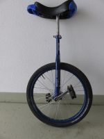 Einrad 20" Terra Bikes fast neuer Reifen Baden-Württemberg - Argenbühl Vorschau
