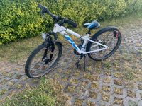 Scool troX evo 24 Zoll 21 Gang Fahrrad Sachsen-Anhalt - Jessen (Elster) Vorschau