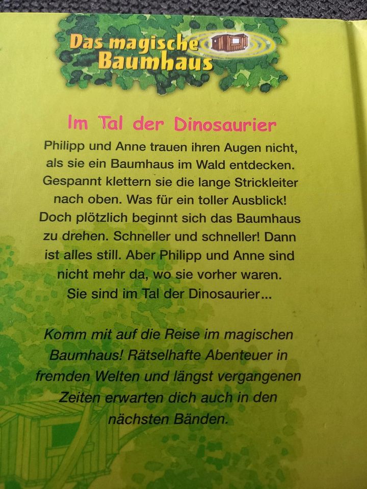 Das magische Baumhaus Bd. 1, Im Tal der Dinosaurier in Frickenhausen