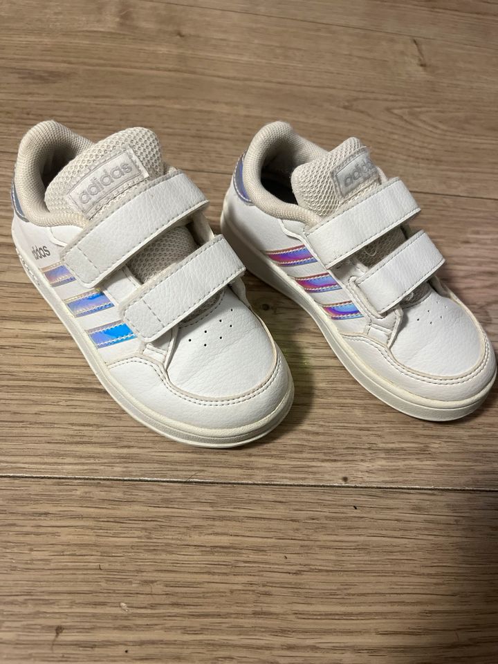 Adidas Schuhe Gr. 24 in Nordrhein Westfalen Bergisch Gladbach