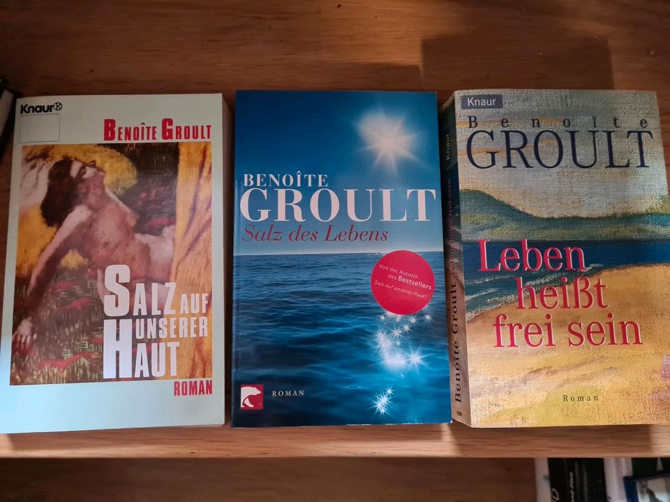 Je 3x Schami Ortheil Saramago Kaminer Groult Von Däniken Moore in Mainz