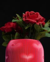 Herzvase 3D gedruckt, Dekovase, Trockenblumen, auch für LED Licht Baden-Württemberg - Remchingen Vorschau