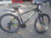 Herren MTB Genesis "Solution 1.0" Sachsen - Tannenbergsthal Vorschau