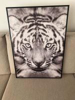 Leinwand Bild Tiger schwarz weiß 50x70cm Hessen - Neu-Isenburg Vorschau