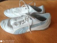Verkaufe 1 Paar Sportschuhe für Damen Größe 38,5 Marke Puma Hessen - Gemünden (Wohra) Vorschau