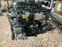 MOTOR Audi 2.0 TDI CNH CNHA CNHB CNHC 190 PS KOMPLETT 99 TSD KM! Hessen - Körle Vorschau