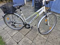 Damen Fahrrad Sachsen - Pirna Vorschau