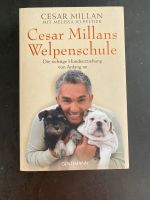 Welpenschule Buch Cesar Milan Rheinland-Pfalz - Koblenz Vorschau