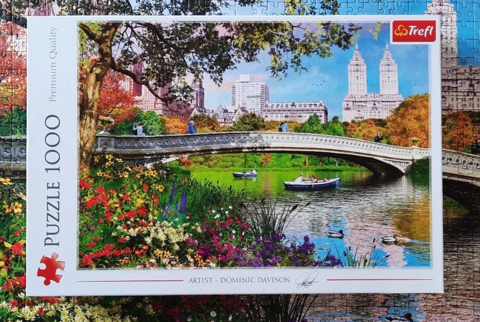 Puzzle 1000 Teile Trefl Central Park New York Artist Dominic Davi in Rosbach (v d Höhe)