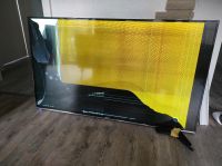 Hisense 55 Zoll TV H55M3300 defekt Rheinland-Pfalz - Bischheim Pfalz Vorschau