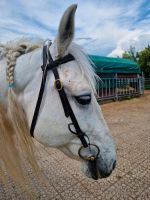 Pony Trense inkl. Wassertrense Bayern - Hiltpoltstein Vorschau