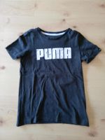 Puma T-Shirt Gr. 140 grau Nordrhein-Westfalen - Marsberg Vorschau