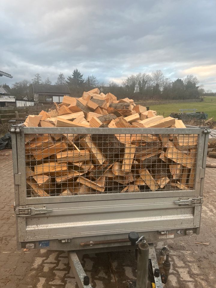 Buche Brennholz Kaminholz in Marburg