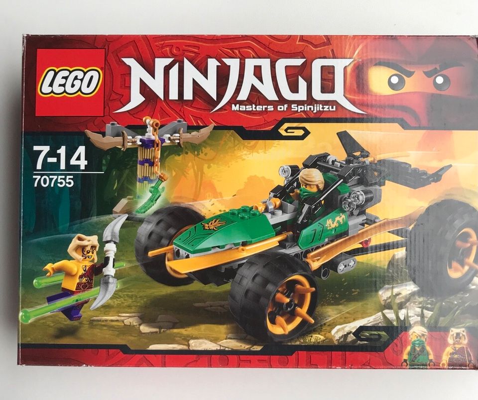 Lego Ninjago 70755 Lloyd in Seligenstadt