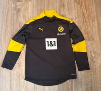 BVB Puma Borussia Dortmund Trainingslongsleeve Gr. 152 Kinder CL Hessen - Langenselbold Vorschau