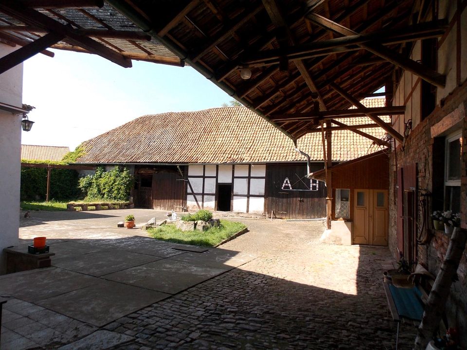 Ferienhaus -Hof Ferienwohnung 8-15 Pers. Harz Familien & Gruppen in Hohenstein bei Nordhausen