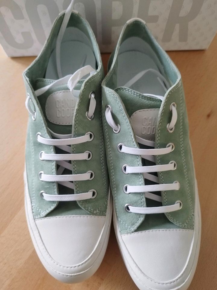 Sneaker Gr.41- Candice Cooper- neu und ungetragen in Ostbevern