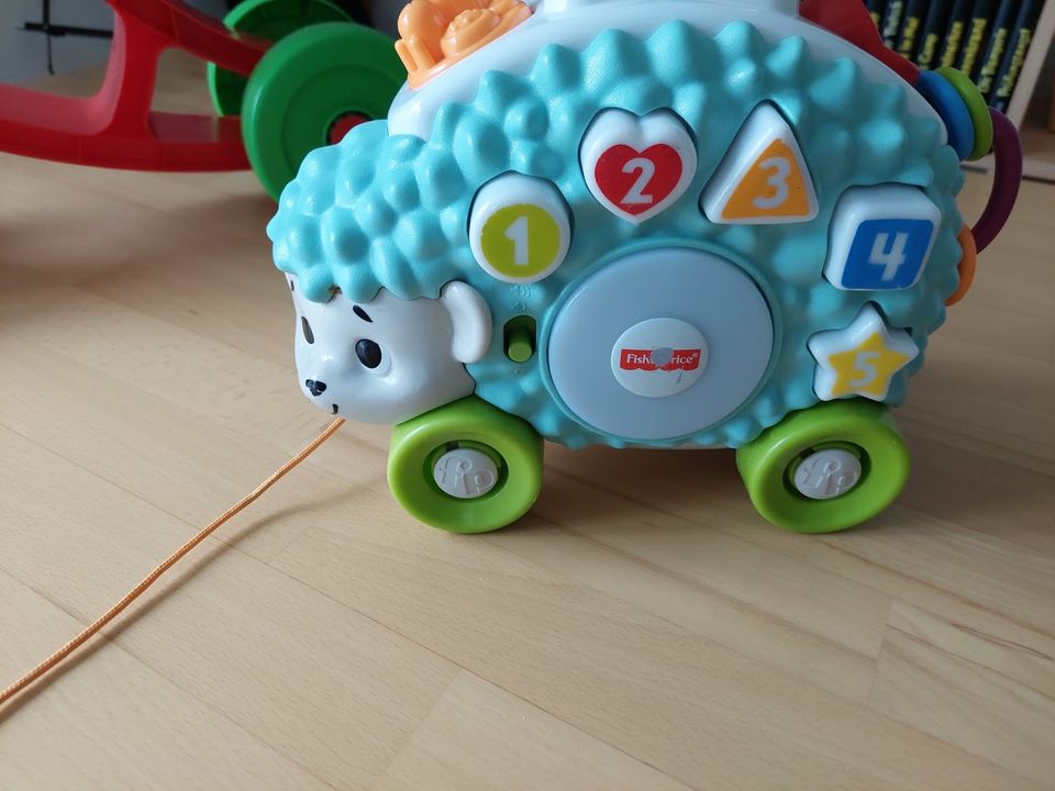 Fisher Price Igel Blinki Linki in Prackenbach