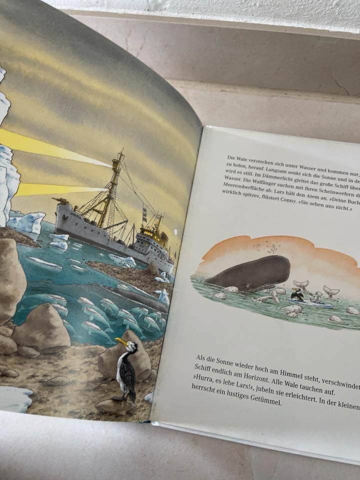 Kleiner Eisbär in der Walbucht von Beer Bilderbuch /2 in Nürnberg (Mittelfr)