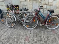 5X Fahrräder, Cityräder Hessen - Eltville Vorschau