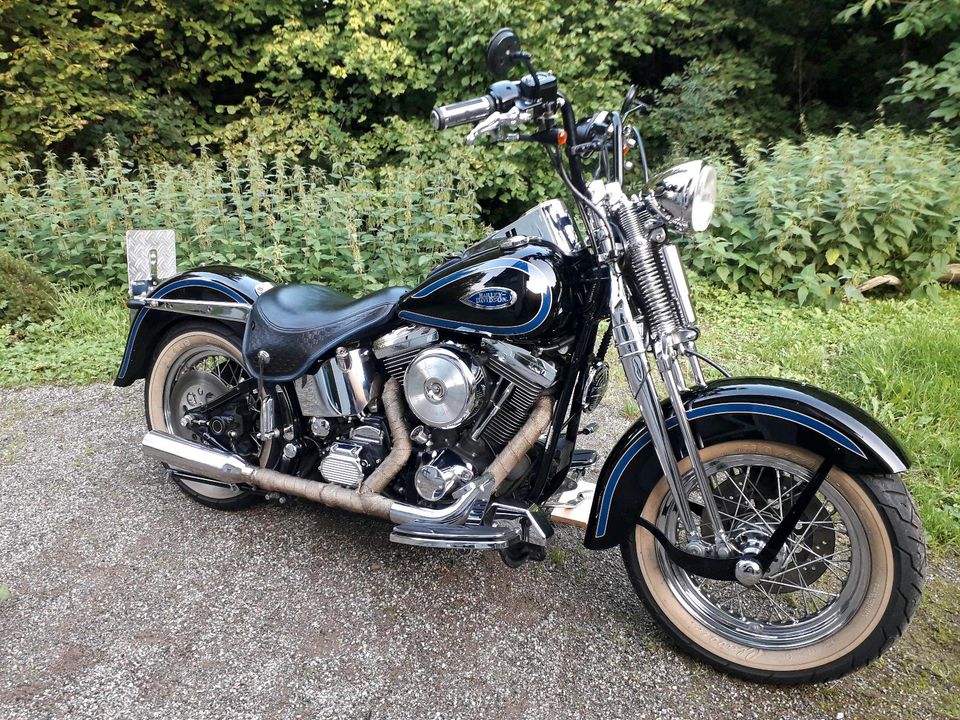 Harley Davidson Heritage Springer in Bonn