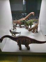 Schleich Dinosaurier Sammlung 6 Stück Neuwertig Rheinland-Pfalz - Eich Vorschau