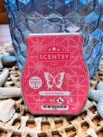 Scentsy Duftbar „Pink Poinsettia“ Saarland - Bous Vorschau