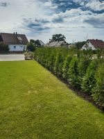 LEBENSBAUM THUJA SMARAGD BRABANT TOP HECKPFLANZEN Bayern - Bayreuth Vorschau