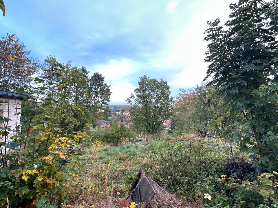 Baugrundstück mit herrlichem Ausblick auf die Stadt Zwickau! in Zwickau