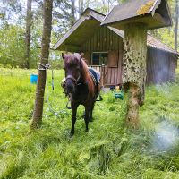 Mithilfe gesucht Baden-Württemberg - Schelklingen Vorschau