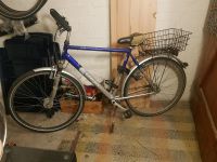 Herren Fahrrad Pegasus zu verkaufen Niedersachsen - Emden Vorschau