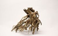 Octo pus Holz Aquarium Deko 15-20cm Hamburg-Mitte - Hamburg Horn Vorschau