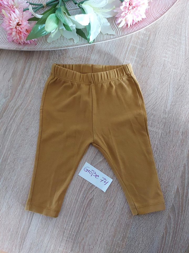 Babysachen H&M, Disney, Zara Größe 74 in Neubrandenburg