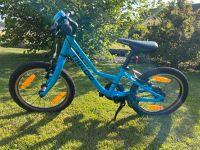 Naloo Kinderfahrrad 16 Zoll Bayern - Edelsfeld Vorschau