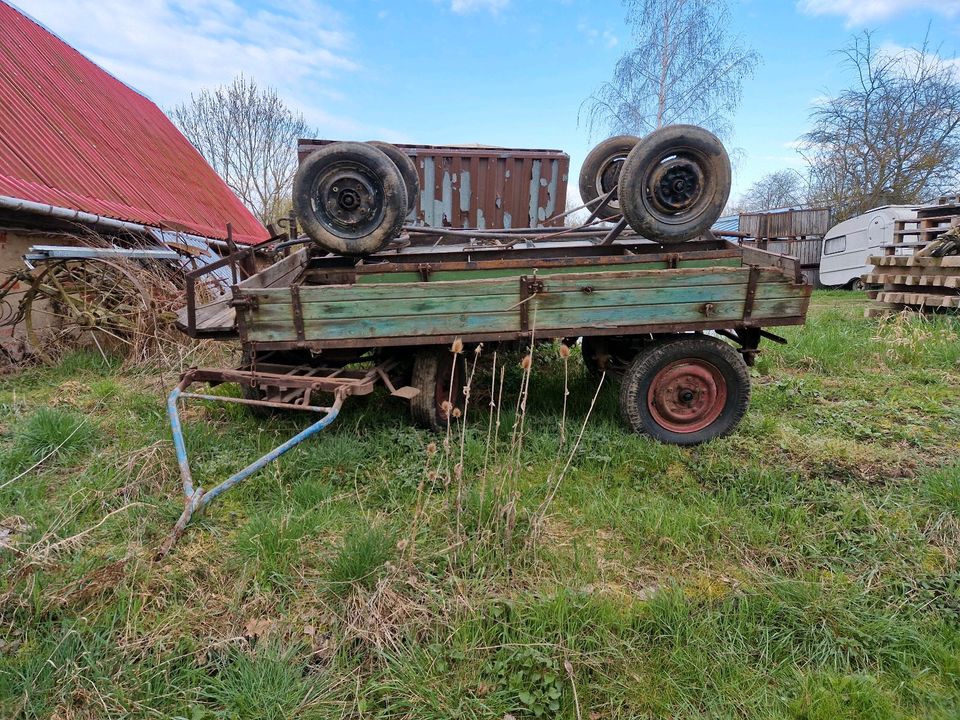 Hänger kleinschlepper traktor in Altenburg