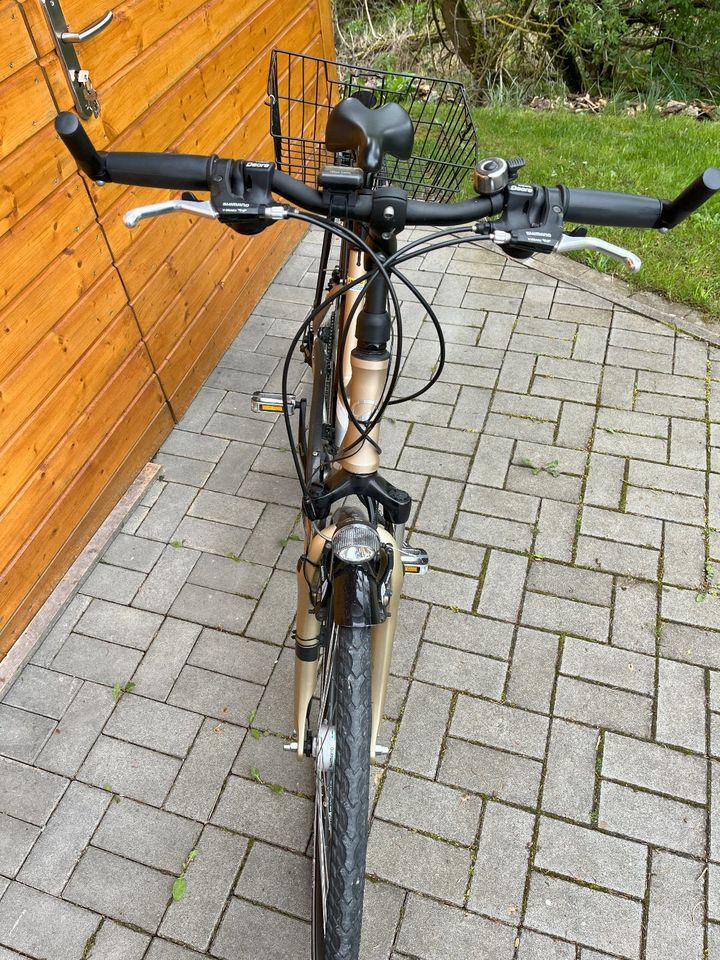 Fahrrad Giant Freerider Lite in Regnitzlosau