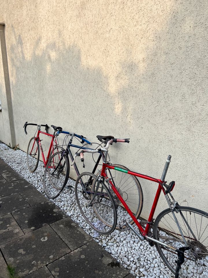 Verschiedene Rennräder Fahrräder u.a. Rabeneick, united colors in Herford