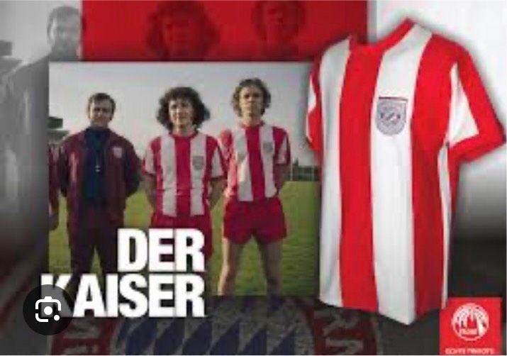 Suche FC Bayern München Trikot in Traubenmühle