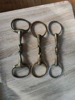 (Sprenger)doppelt gebrochenes Gebiss, 12,5 cm,Aurigan13,5cm Lübeck - Moisling Vorschau