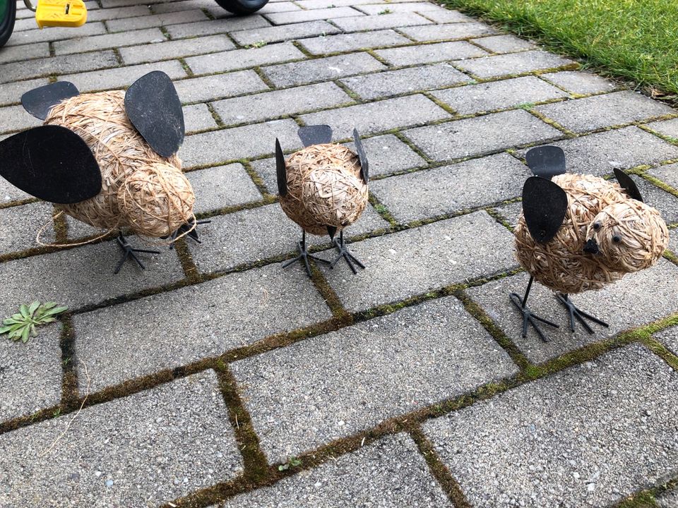 Trödel, Deko, Geschirr in Treuenbrietzen