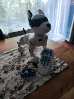 Roboter Hund Hessen - Offenbach Vorschau
