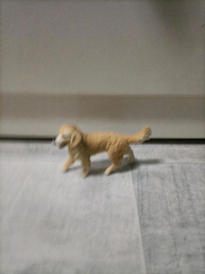 Schleich Hund+ Körbchen in Schöneck