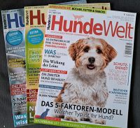 Fachzeitschrift HundeWelt (Ausgaben aus 2018 - 2021) Nordrhein-Westfalen - Soest Vorschau