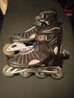 Inline Skates, Inliner, Signal Rollerblades Gr. 41 Dresden - Cotta Vorschau